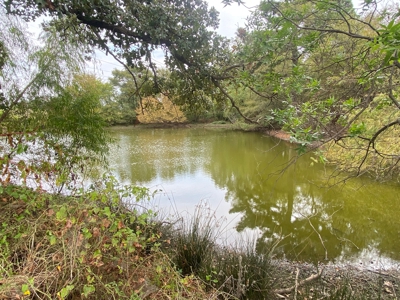 Poultry Farm With Onsite Living For Sale in Mt Vernon TX - image 2