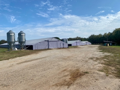 Poultry Farm With Onsite Living For Sale in Mt Vernon TX - image 3