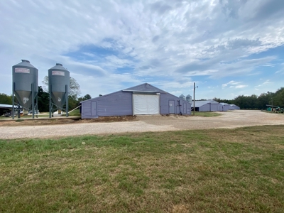 Poultry Farm With Onsite Living For Sale in Mt Vernon TX - image 6