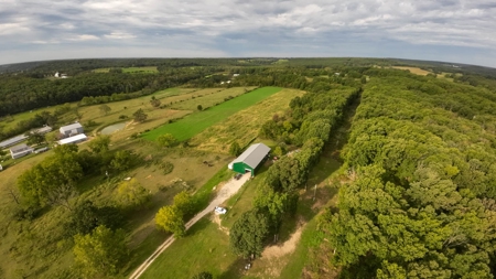 Shop House and 5+/- Acres in Webster County, Missouri - image 35