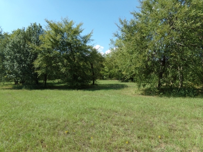 10 Acres of Development Land For Sale Paris TX Lamar Co TX - image 3