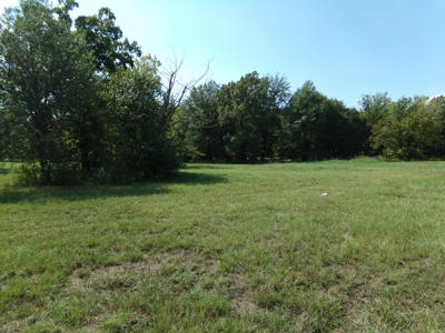 10 Acres of Development Land For Sale Paris TX Lamar Co TX - image 2