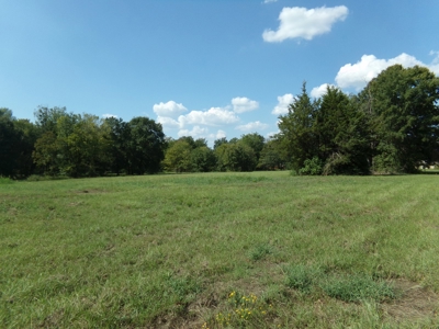 10 Acres of Development Land For Sale Paris TX Lamar Co TX - image 4