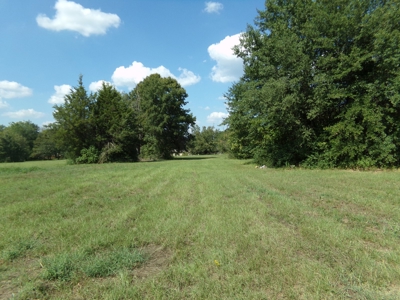 10 Acres of Development Land For Sale Paris TX Lamar Co TX - image 1