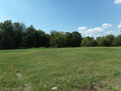 10 Acres of Development Land For Sale Paris TX Lamar Co TX - image 5