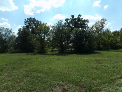 10 Acres of Development Land For Sale Paris TX Lamar Co TX - image 7