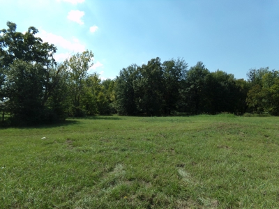 10 Acres of Development Land For Sale Paris TX Lamar Co TX - image 6