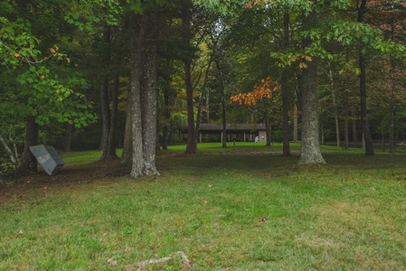 Gallimore Pond and House for Sale in Floyd VA - image 27