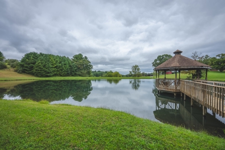 Gallimore Pond and House for Sale in Floyd VA - image 26