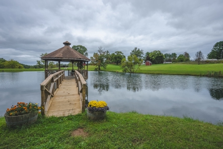 Gallimore Pond and House for Sale in Floyd VA - image 19