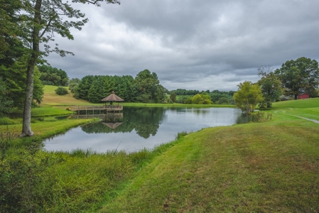 Gallimore Pond and House for Sale in Floyd VA - image 22
