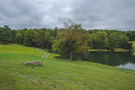 Gallimore Pond and House for Sale in Floyd VA - image 16