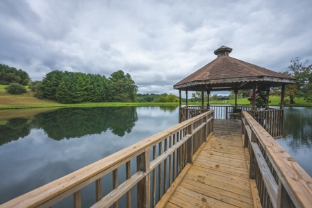 Gallimore Pond and House for Sale in Floyd VA - image 25