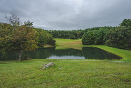 Gallimore Pond and House for Sale in Floyd VA - image 15