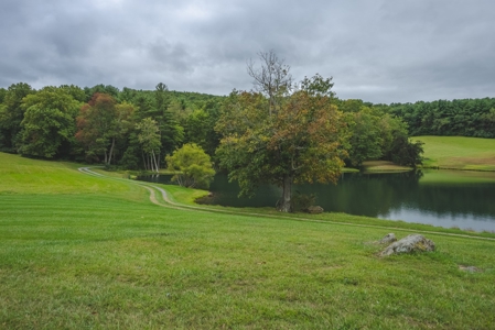 Gallimore Pond and House for Sale in Floyd VA - image 14