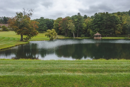 Gallimore Pond and House for Sale in Floyd VA - image 8