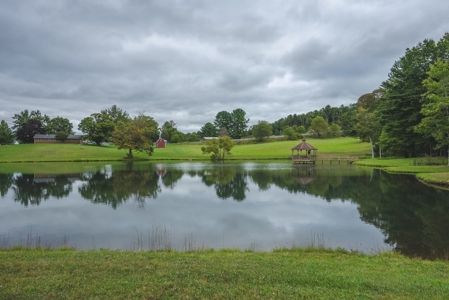 Gallimore Pond and House for Sale in Floyd VA - image 17