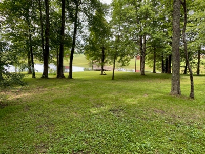 Gallimore Pond and House for Sale in Floyd VA - image 2