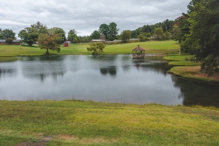 Gallimore Pond and House for Sale in Floyd VA - image 6
