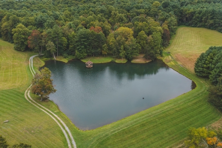 Gallimore Pond and House for Sale in Floyd VA - image 10