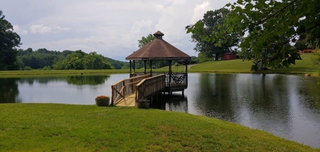 Gallimore Pond and House for Sale in Floyd VA - image 3