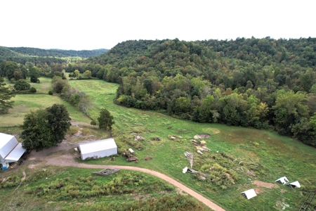 45+/- Ac. Farm - Amish Home - Workshop - Barns - Liberty, Ky - image 38