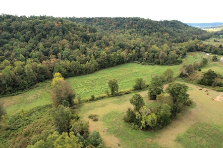 45+/- Ac. Farm - Amish Home - Workshop - Barns - Liberty, Ky - image 41