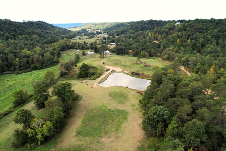 45+/- Ac. Farm - Amish Home - Workshop - Barns - Liberty, Ky - image 40