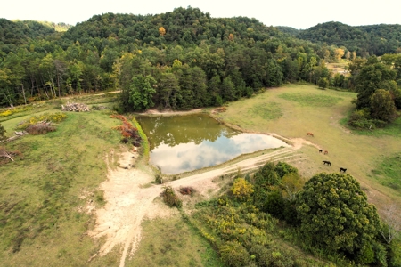 45+/- Ac. Farm - Amish Home - Workshop - Barns - Liberty, Ky - image 39