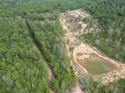 7.43 Wooded Acres in SW MS - image 7