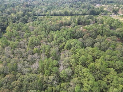 7.43 Wooded Acres in SW MS - image 5