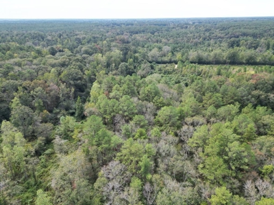 7.43 Wooded Acres in SW MS - image 4