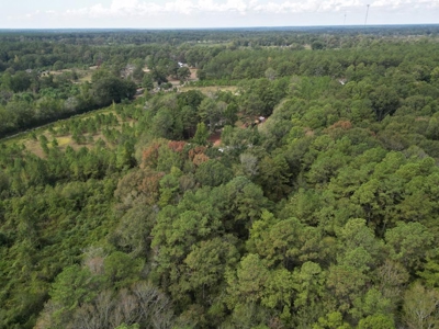 7.43 Wooded Acres in SW MS - image 9