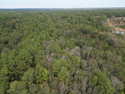 7.43 Wooded Acres in SW MS - image 8