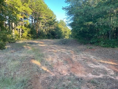 Hunting and Recreational Land In Upshur County - image 3