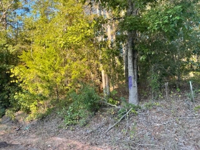 Hunting and Recreational Land In Upshur County - image 4