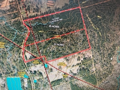 Hunting and Recreational Land In Upshur County - image 1