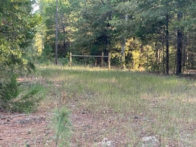 Hunting and Recreational Land In Upshur County - image 2