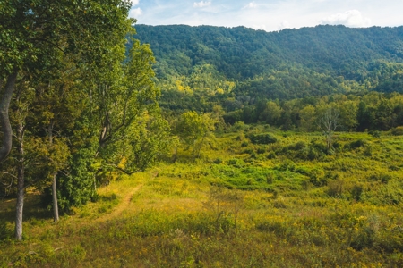 Auction Extravaganza: Secluded 200 Acres in Hawkins Co. TN - image 32