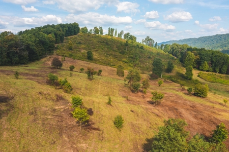 Auction Extravaganza: Secluded 200 Acres in Hawkins Co. TN - image 43