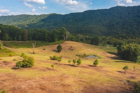 Auction Extravaganza: Secluded 200 Acres in Hawkins Co. TN - image 3