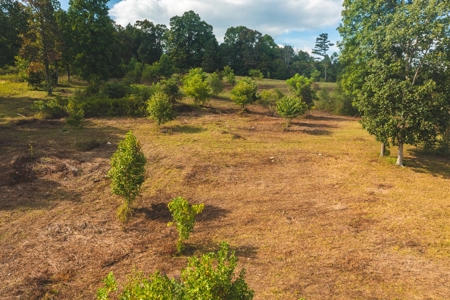 Auction Extravaganza: Secluded 200 Acres in Hawkins Co. TN - image 34
