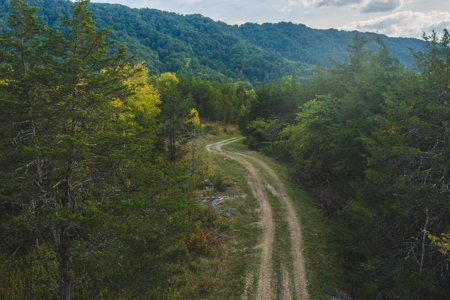 Auction Extravaganza: Secluded 200 Acres in Hawkins Co. TN - image 7
