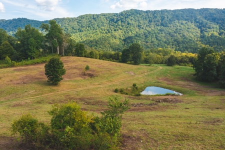 Auction Extravaganza: Secluded 200 Acres in Hawkins Co. TN - image 18