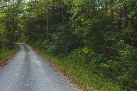 Auction Extravaganza: Secluded 200 Acres in Hawkins Co. TN - image 40