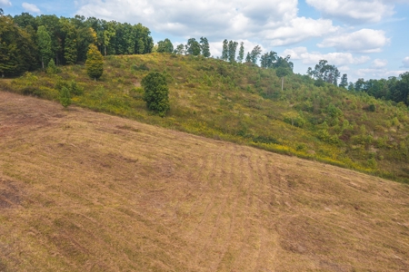 Auction Extravaganza: Secluded 200 Acres in Hawkins Co. TN - image 16