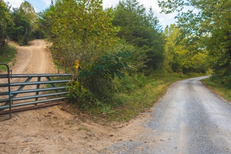 Auction Extravaganza: Secluded 200 Acres in Hawkins Co. TN - image 27