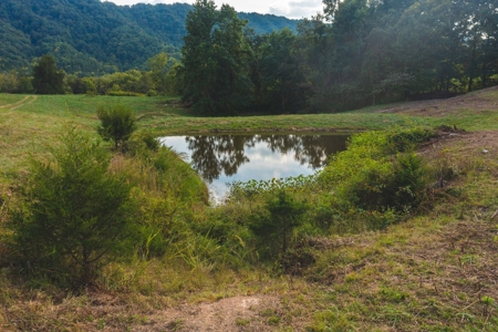 Auction Extravaganza: Secluded 200 Acres in Hawkins Co. TN - image 39