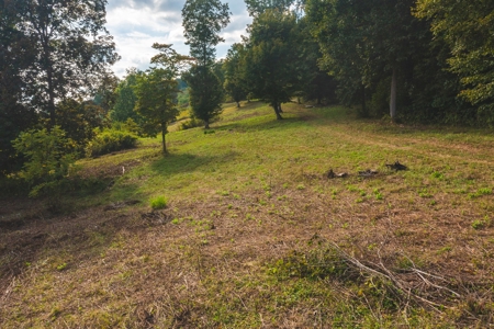 Auction Extravaganza: Secluded 200 Acres in Hawkins Co. TN - image 20