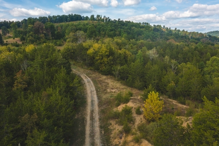 Auction Extravaganza: Secluded 200 Acres in Hawkins Co. TN - image 10